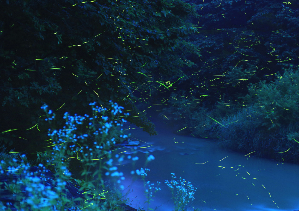 沼田町「ほたるの里」でワーケーションしてみました② バケーション編